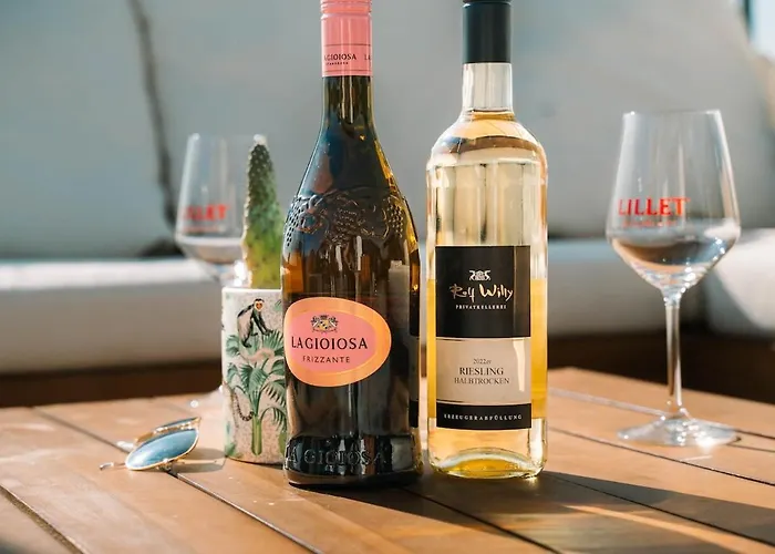 Luxusapartment In Mit Wellness Apartment